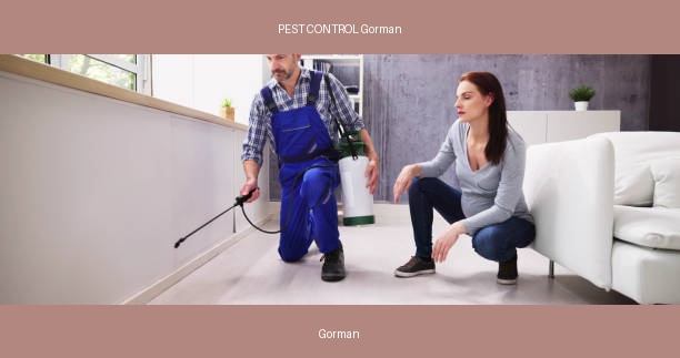 PEST CONTROL Gorman